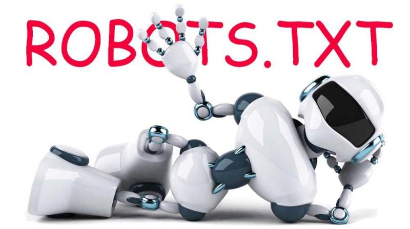 Что такое robots.txt и зачем он нужен в Костроме